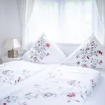 فيرينفونونغ ألبي شقة