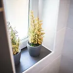 فيرينفونونغ ألبي * جارمش بارتنكيرشن