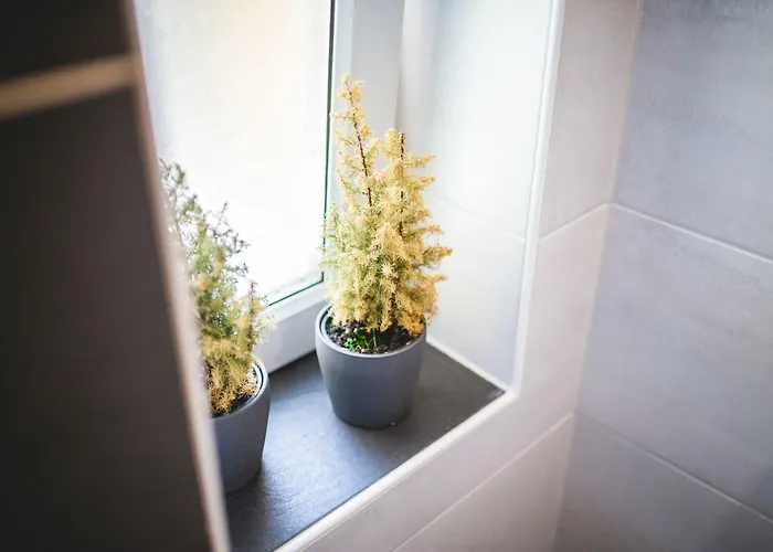 Alpi * Garmisch-Partenkirchen